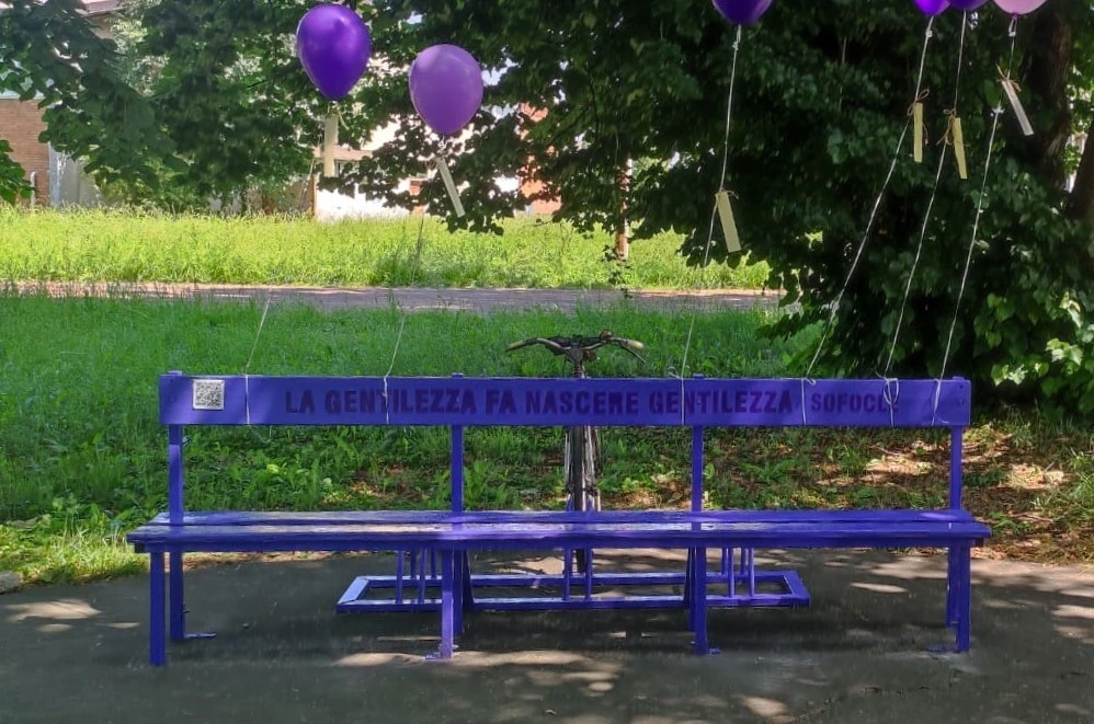 Final realization of the purple bench